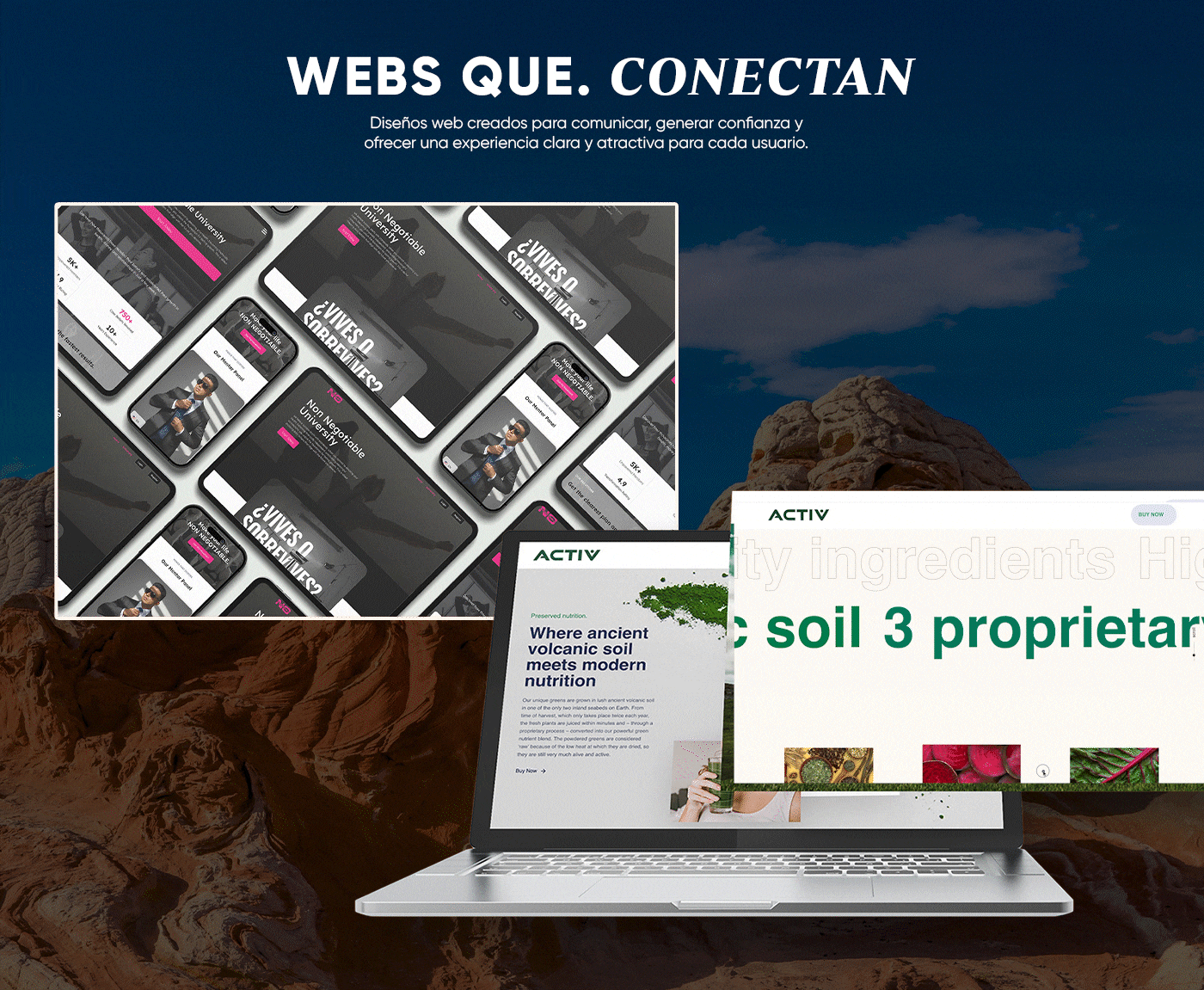 diseño web 2